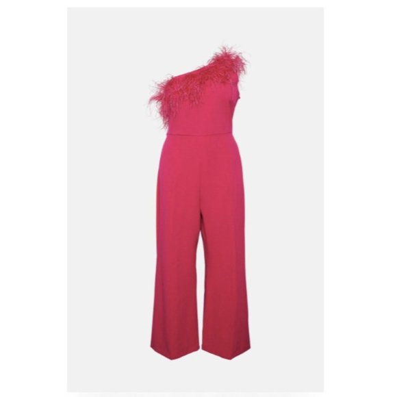 Karen Millen Pink Ostrich Feather One Shoulder Jumpsuit Sz 20 Plus NWT - Picture 3 of 8